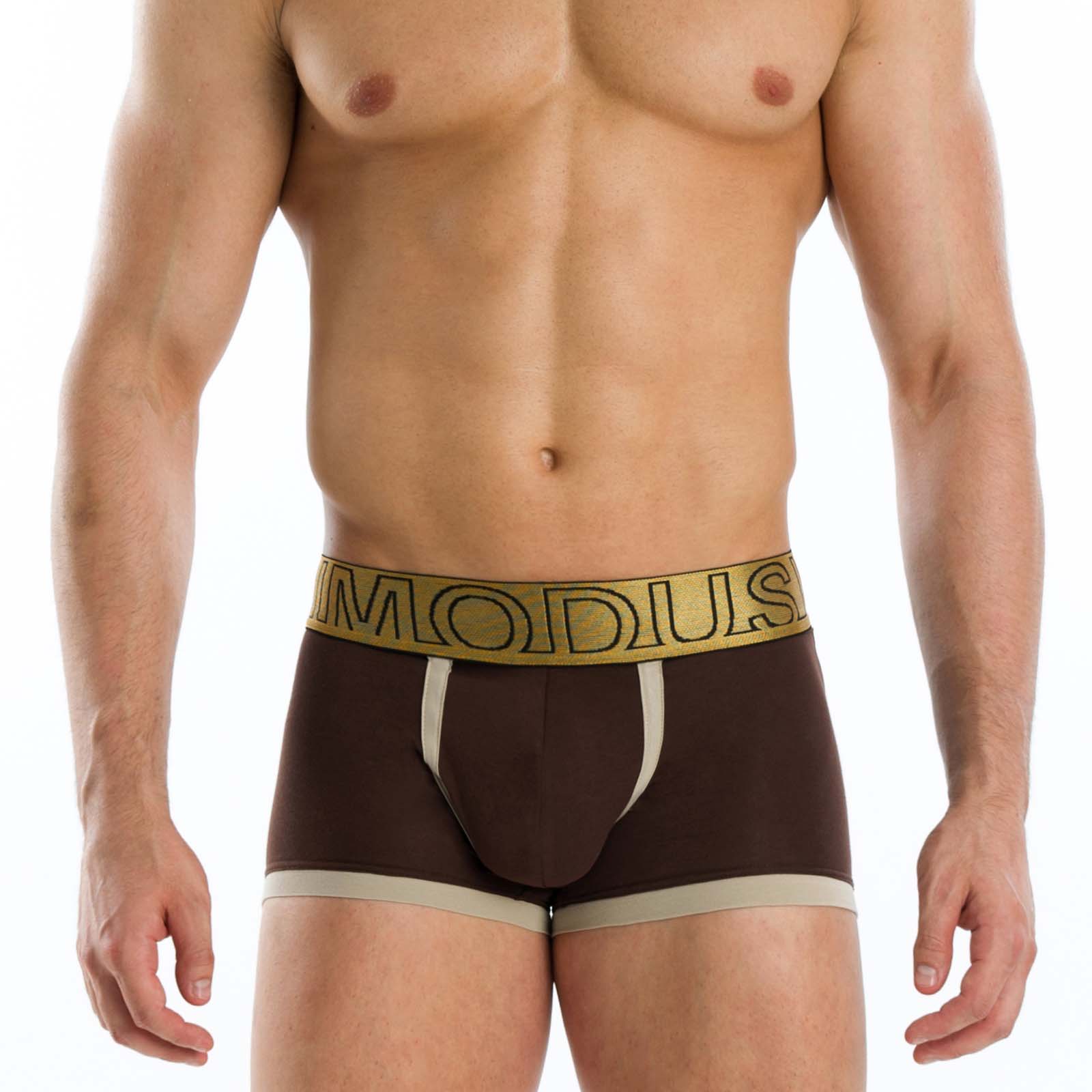 Boxer Modus Vivendi Earth 01621