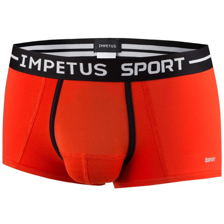 Boxer Brief Impetus 2051B87