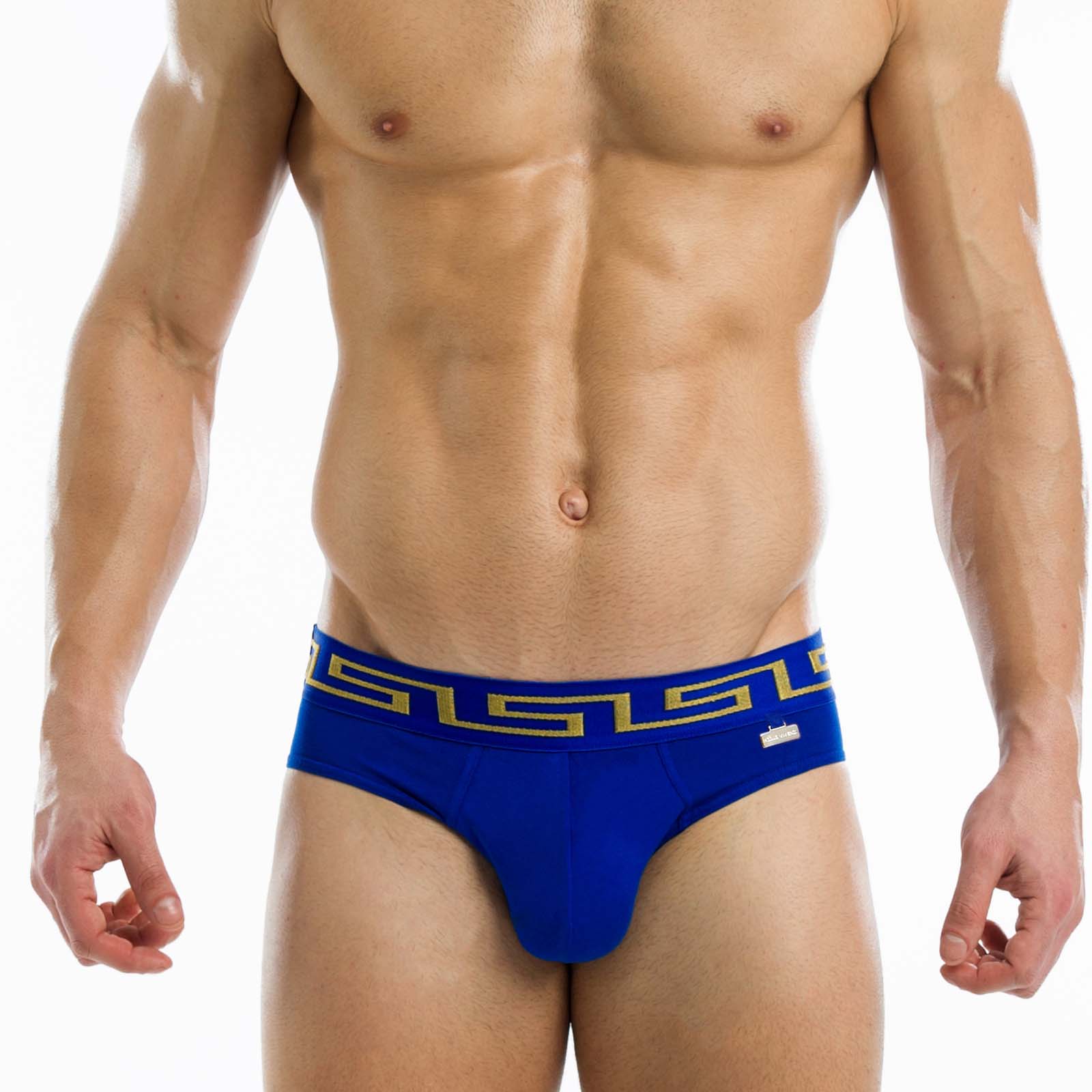 Brief Modus Vivendi Meander 11613