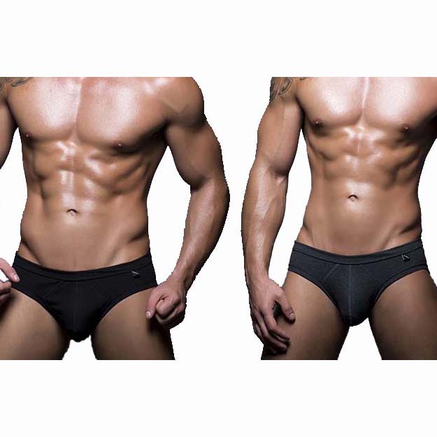 Pack 2 brief Andrew Christian Basix Tagless 90110