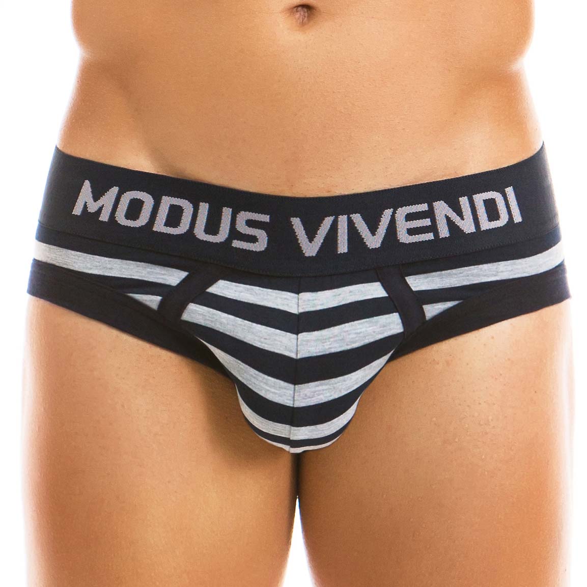 Brief Modus Vivendi Stripped 11915