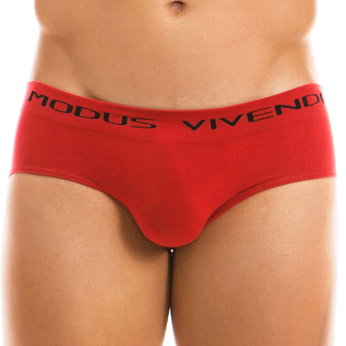 Brief Modus Vivendi Seamless 09912