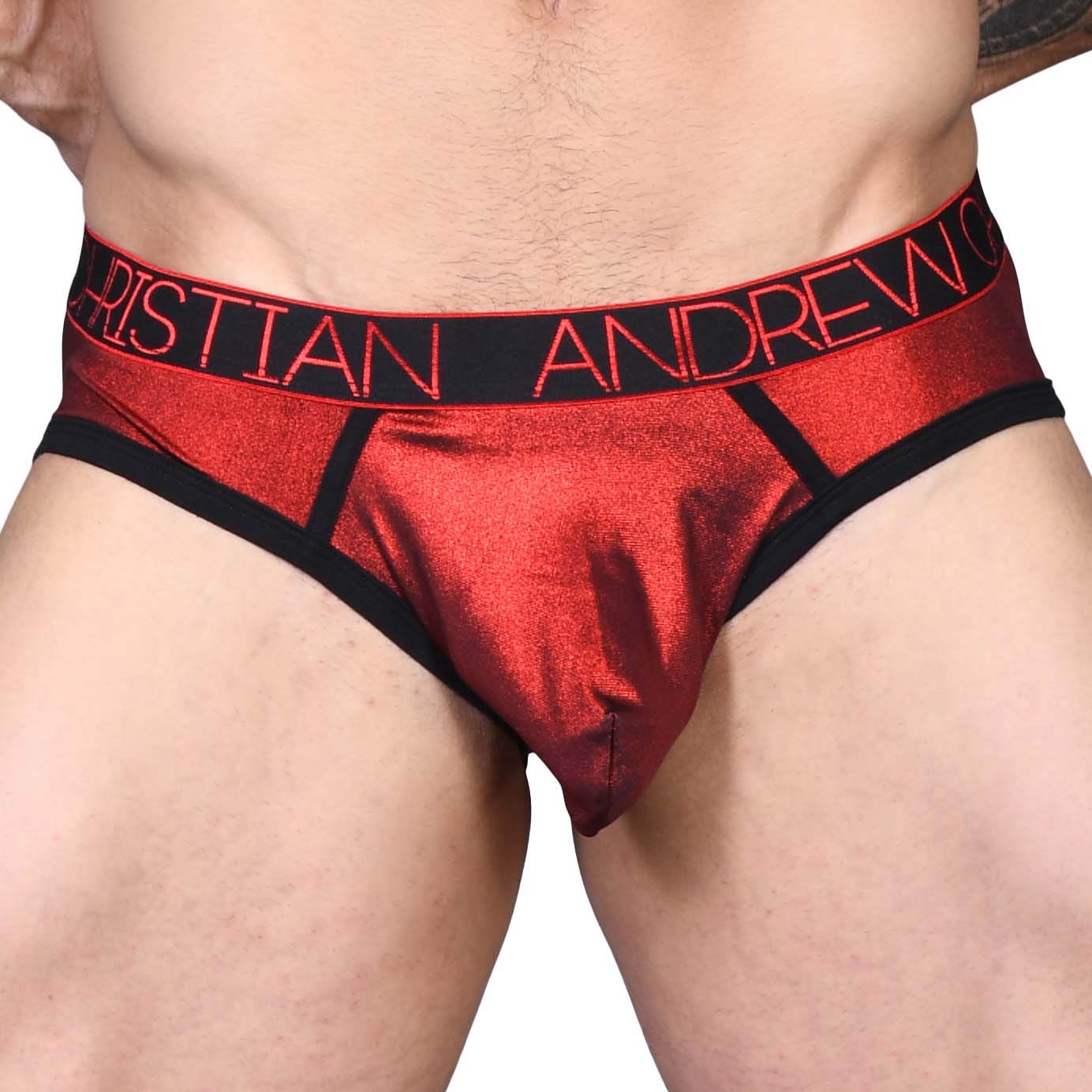 Brief Andrew Christian Hotness Metallic 91297