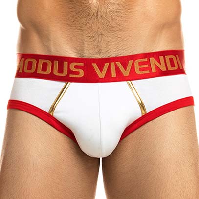 Brief Modus Vivendi Exclusive 20190