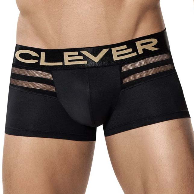 Boxer Clever Ammolite Latin 2210