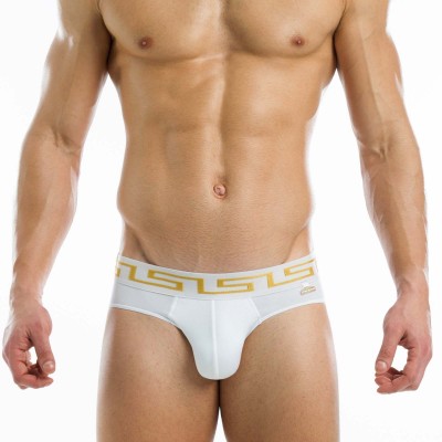 Brief Modus Vivendi Meander 11613