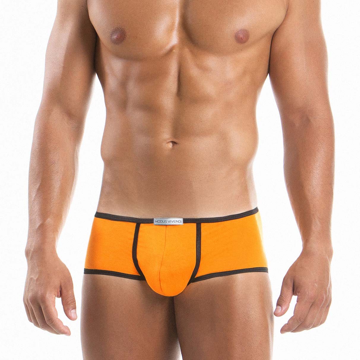 Boxer Brief Modus Vivendi 10521