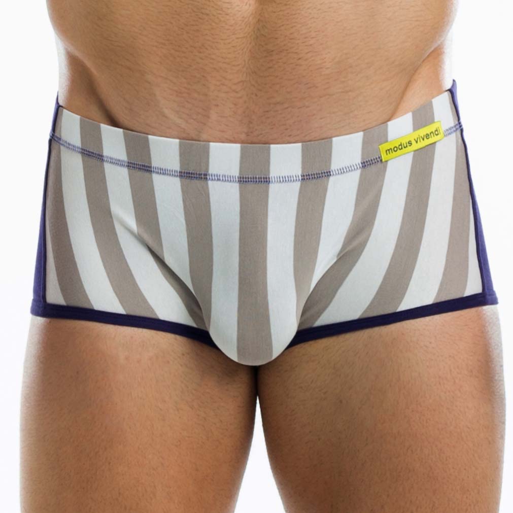 Boxer Modus Vivendi Striped Flash 09621