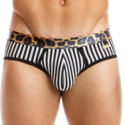 Brief Modus Vivendi Animal 06815