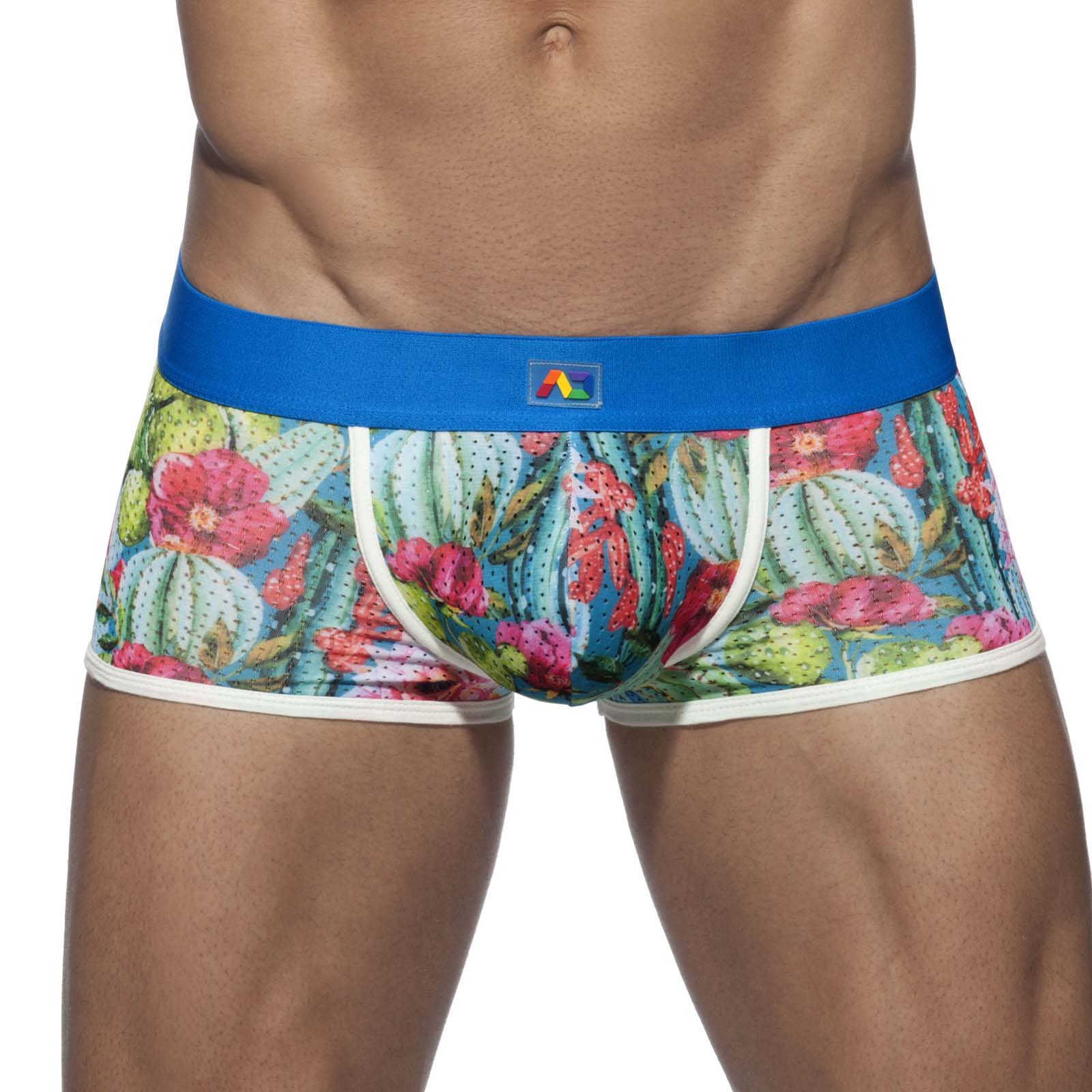 Boxer Addicted Cactus AD691