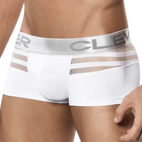 Boxer Clever Ammolite Latin 2210