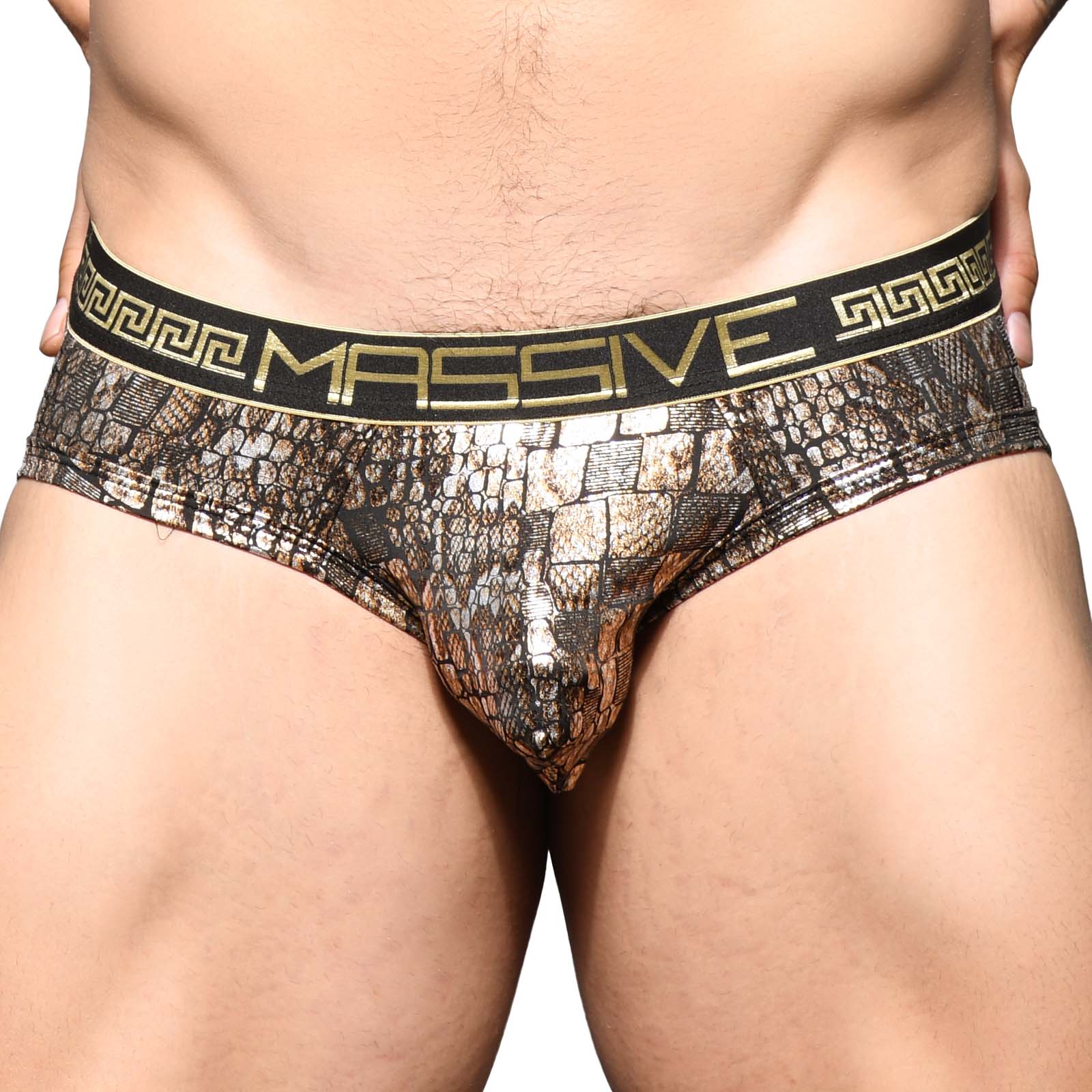 Brief Andrew Christian Massive Python 91662