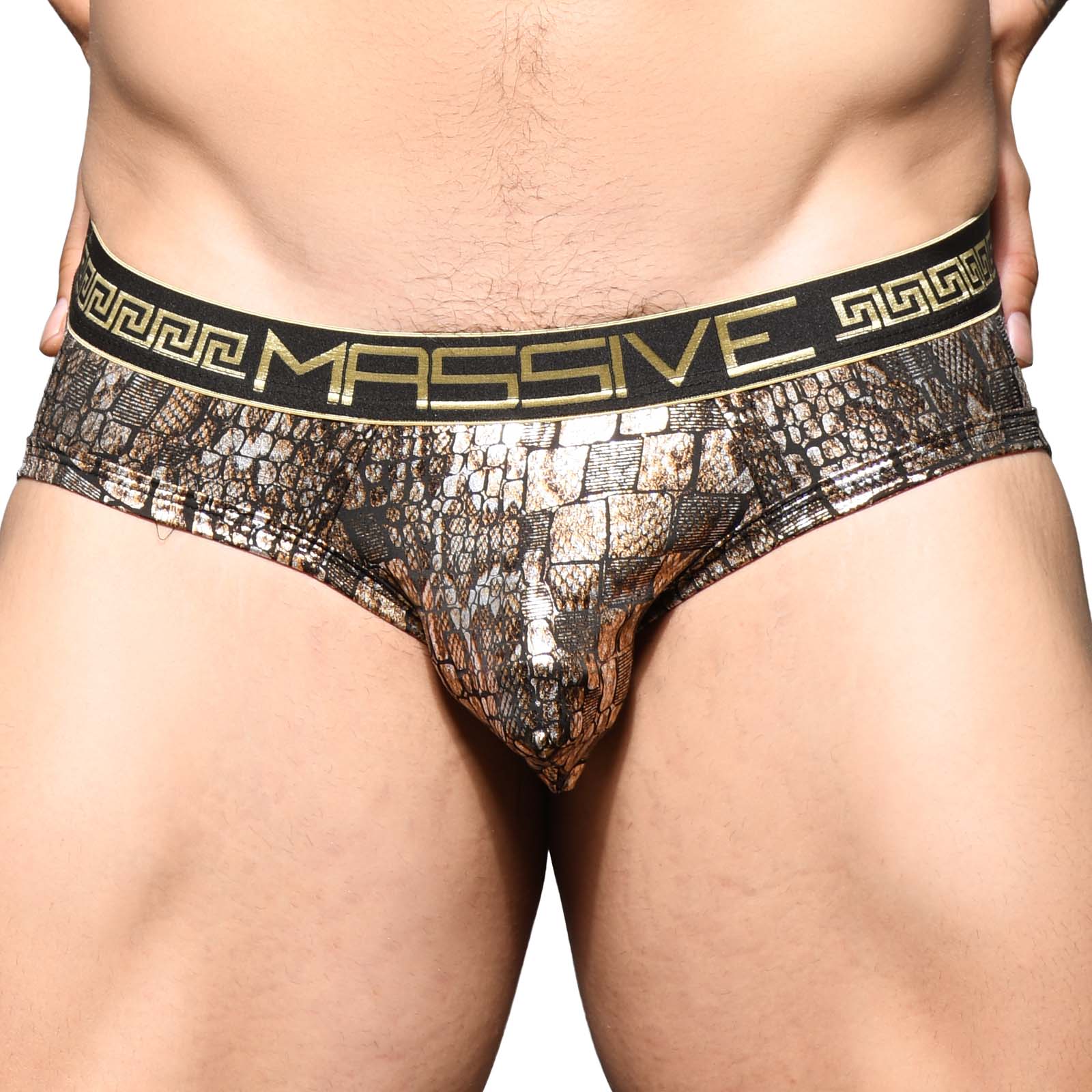 Brief Andrew Christian Massive Python 91662