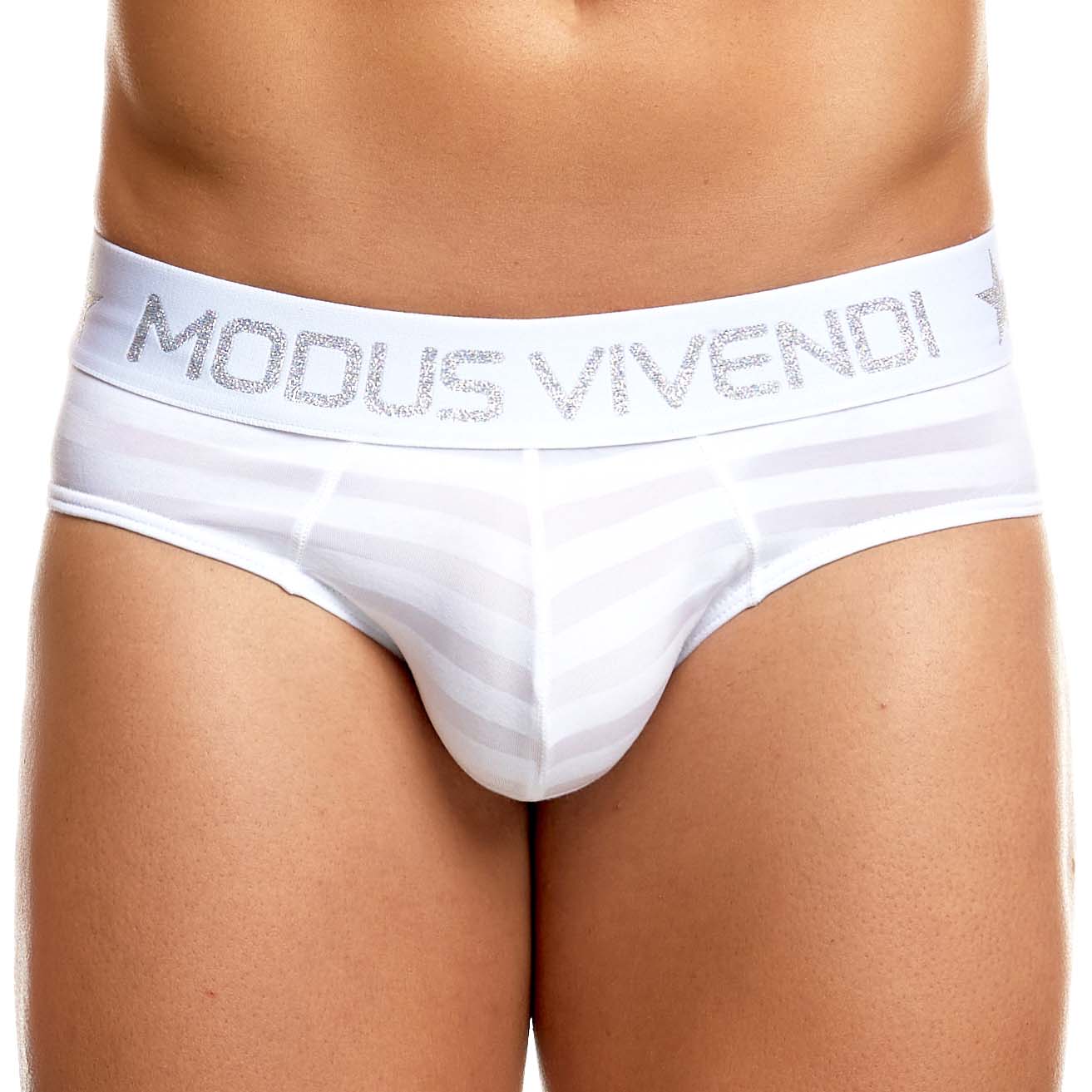 Brief Modus Vivendi Exclusive 20201