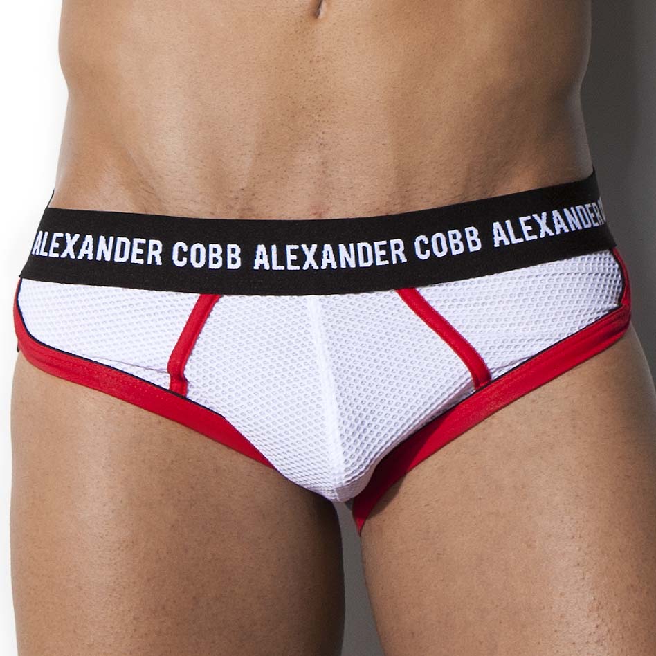 Brief  Alexander COBB 10CS04