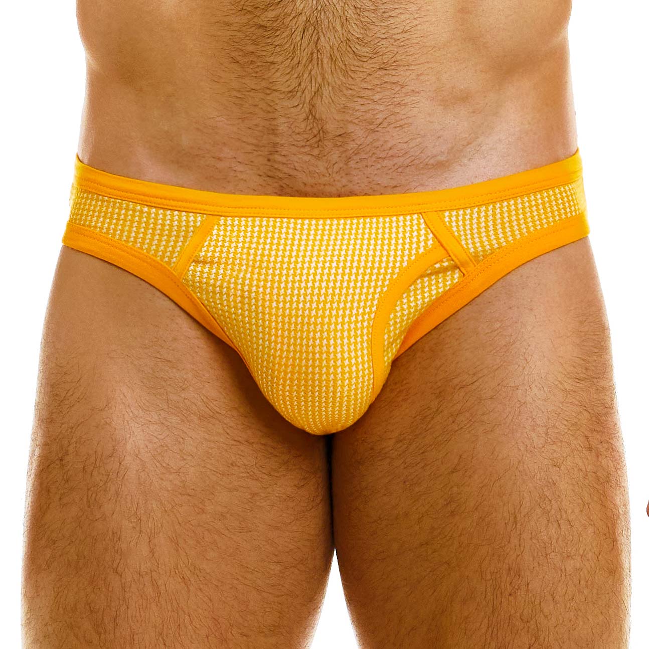 Brief Modus Vivendi Country 02212