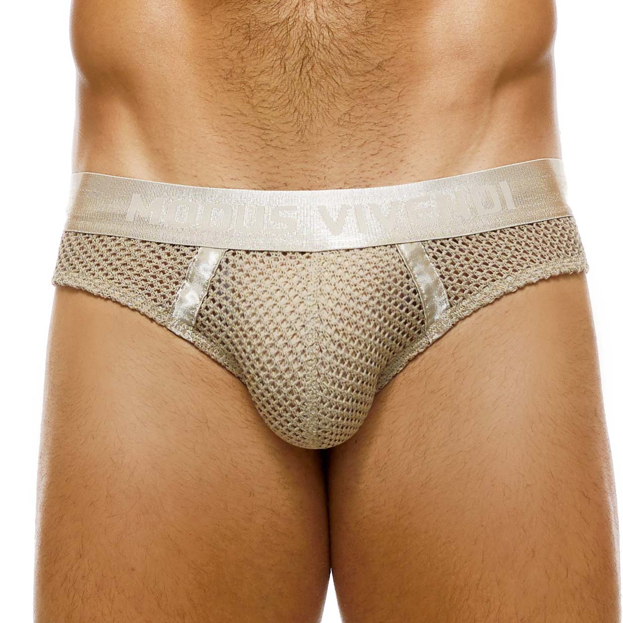 Brief Modus Vivendi Host 03214