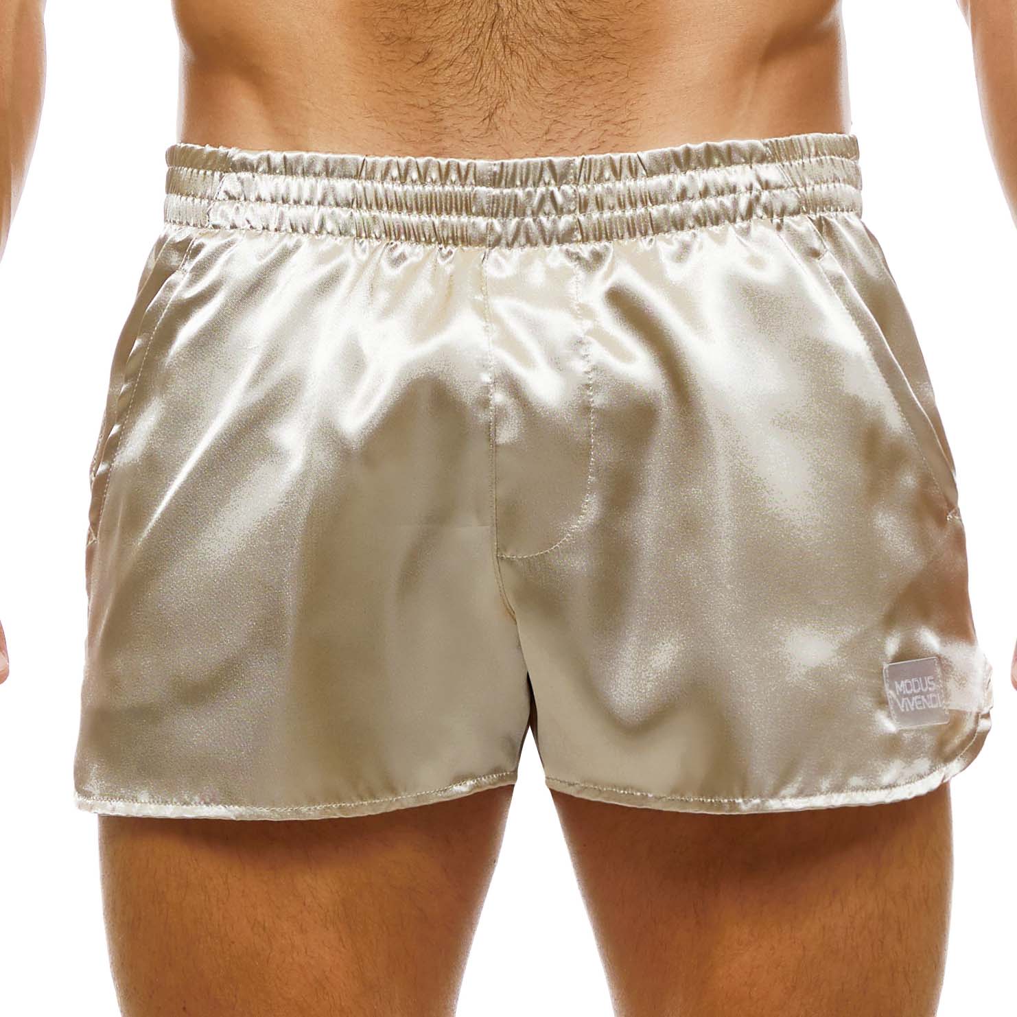 Short Modus Vivendi Host 03261