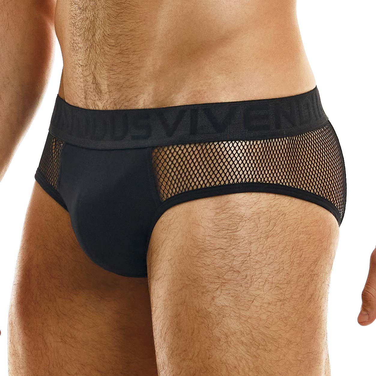 Brief Modus Vivendi Mesh 03315