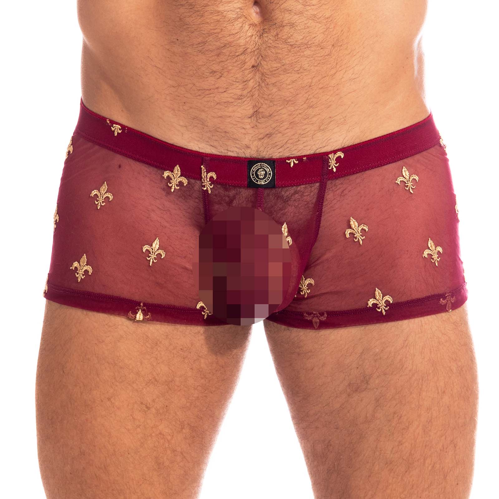 Boxer L Homme Invisible Charlemagne  MY14CLM