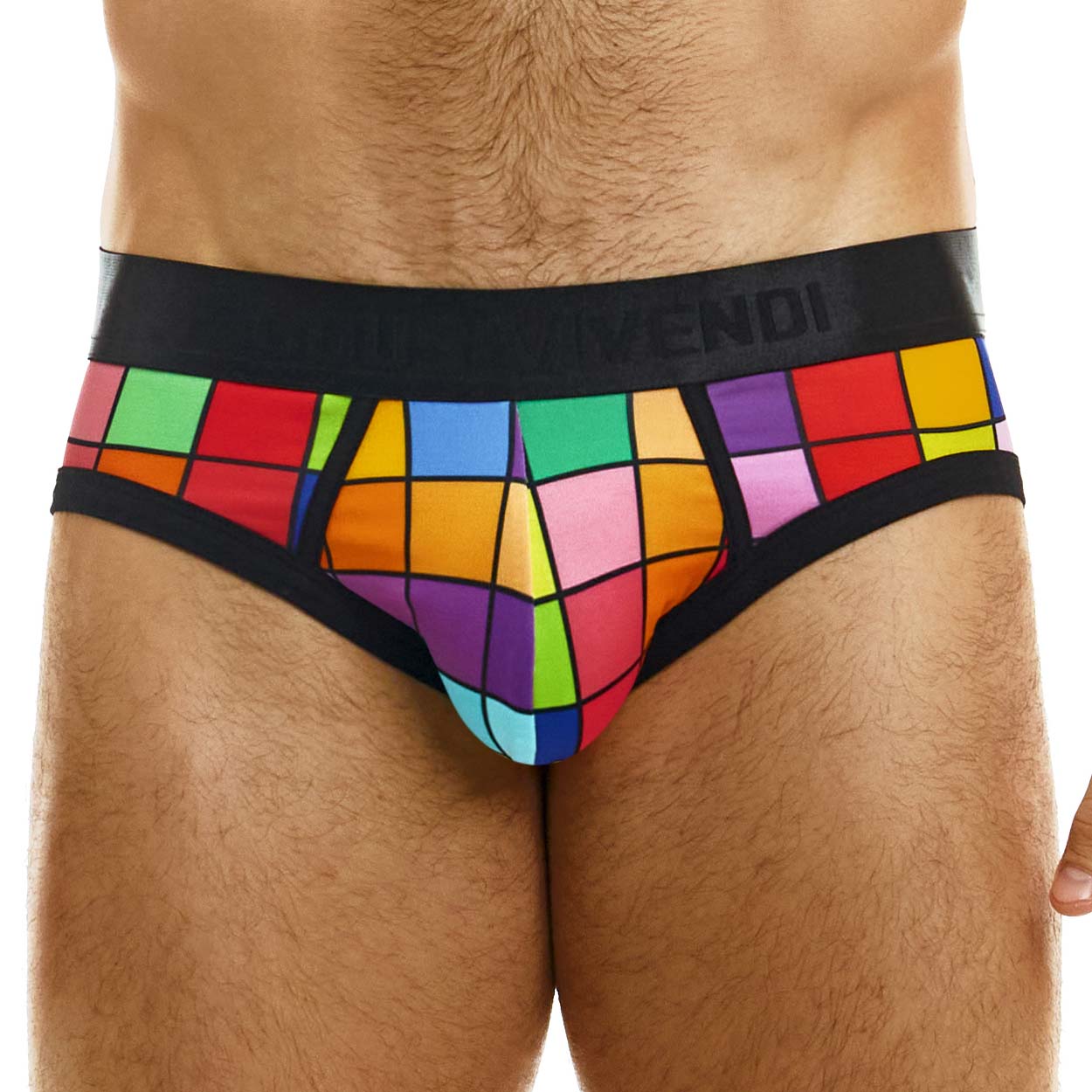 Brief Modus Vivendi Inclusive 08316