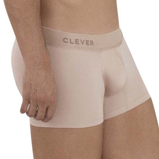 Boxer Clever Natura 1123