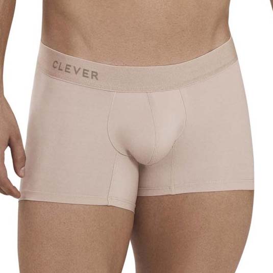 Boxer Clever Natura 1123