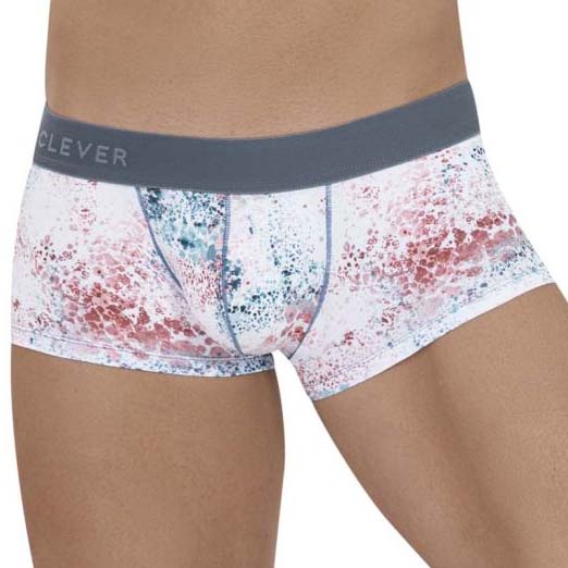 Boxer Clever Sacred 1132