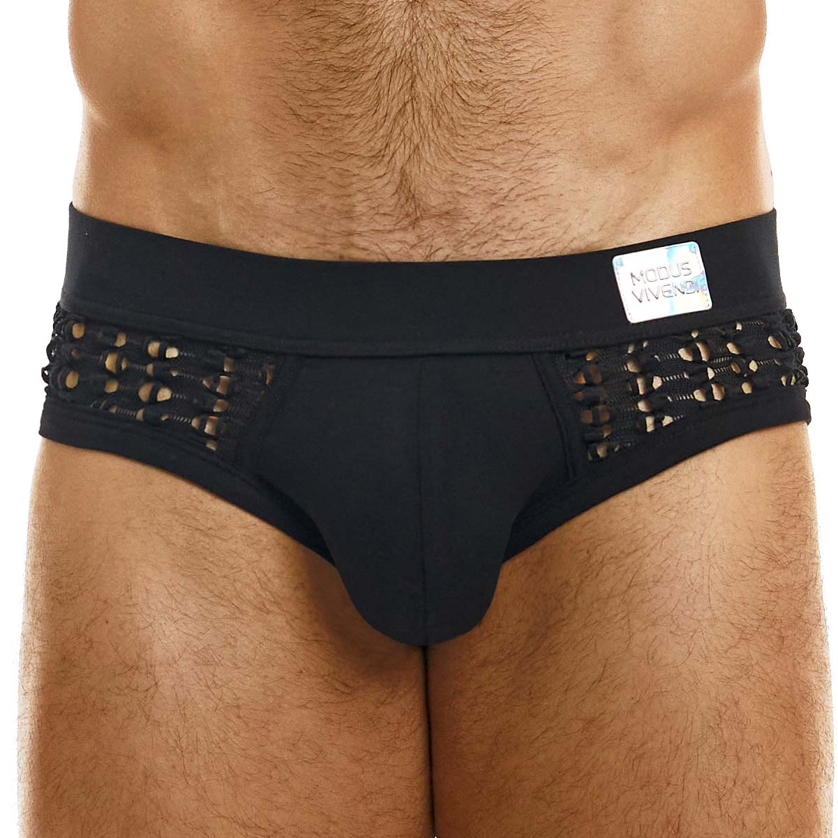 Brief Modus Vivendi Hole 02313