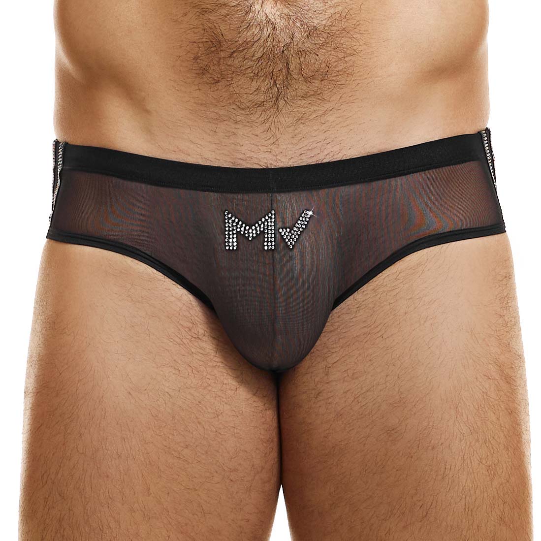 Brief Modus Vivendi Sharp 17311