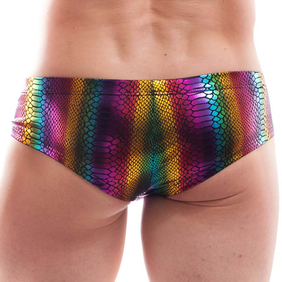 Brief Wojoer Rainbow Reptile 0398P704