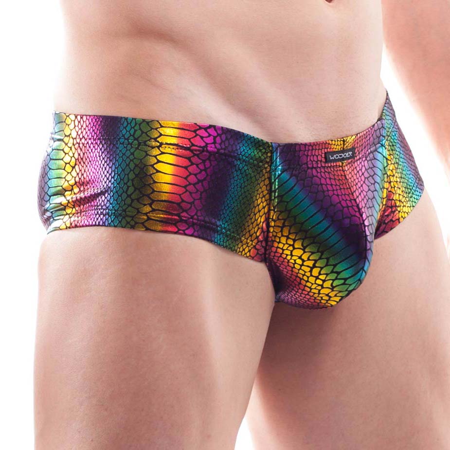 Brief Wojoer Rainbow Reptile 0398P704