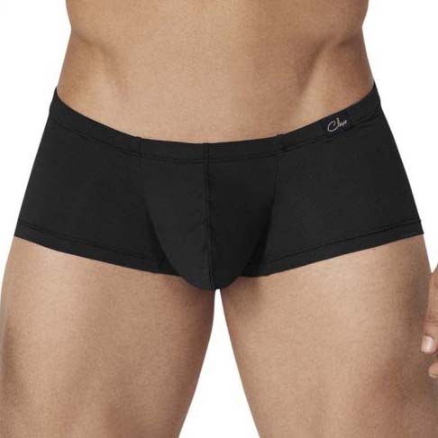 Boxer Clever Imperturbable Latin 0256