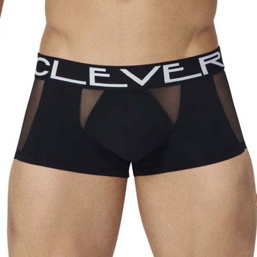 Boxer Clever Private Latin 0265