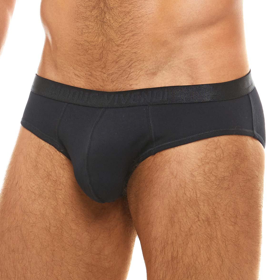 Brief Modus Vivendi Antibacterial 15614