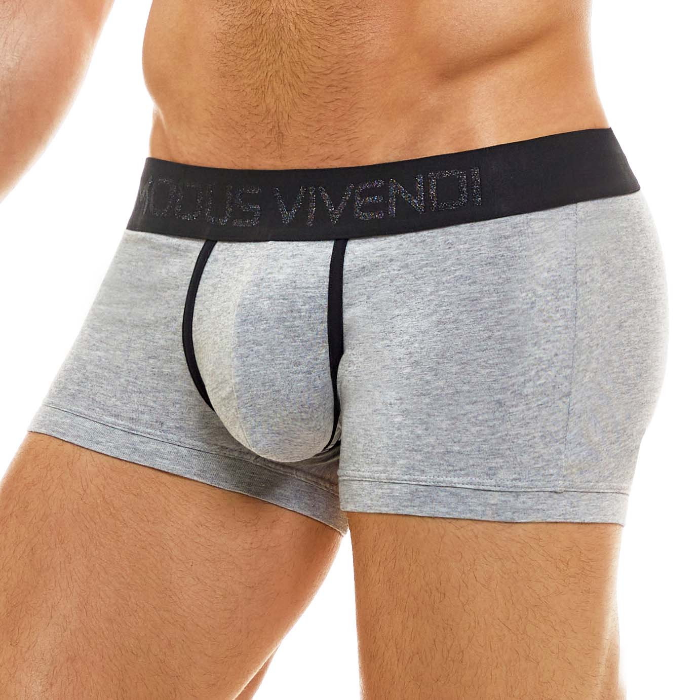 Boxer Modus Vivendi Back T 02121