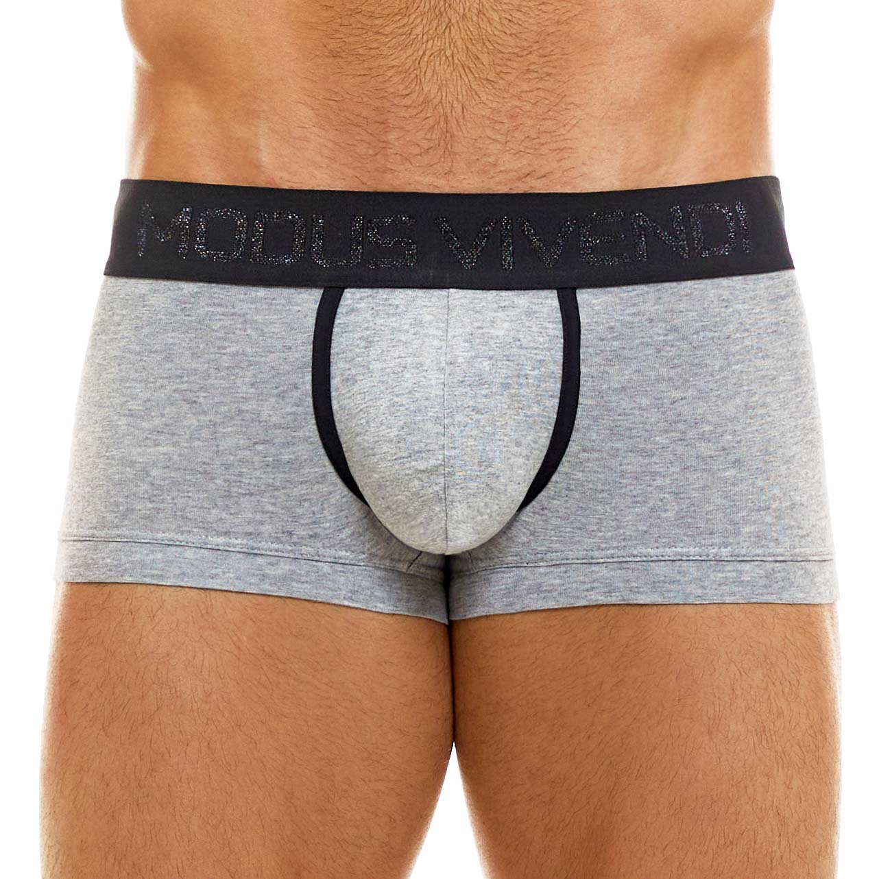 Boxer Modus Vivendi Back T 02121