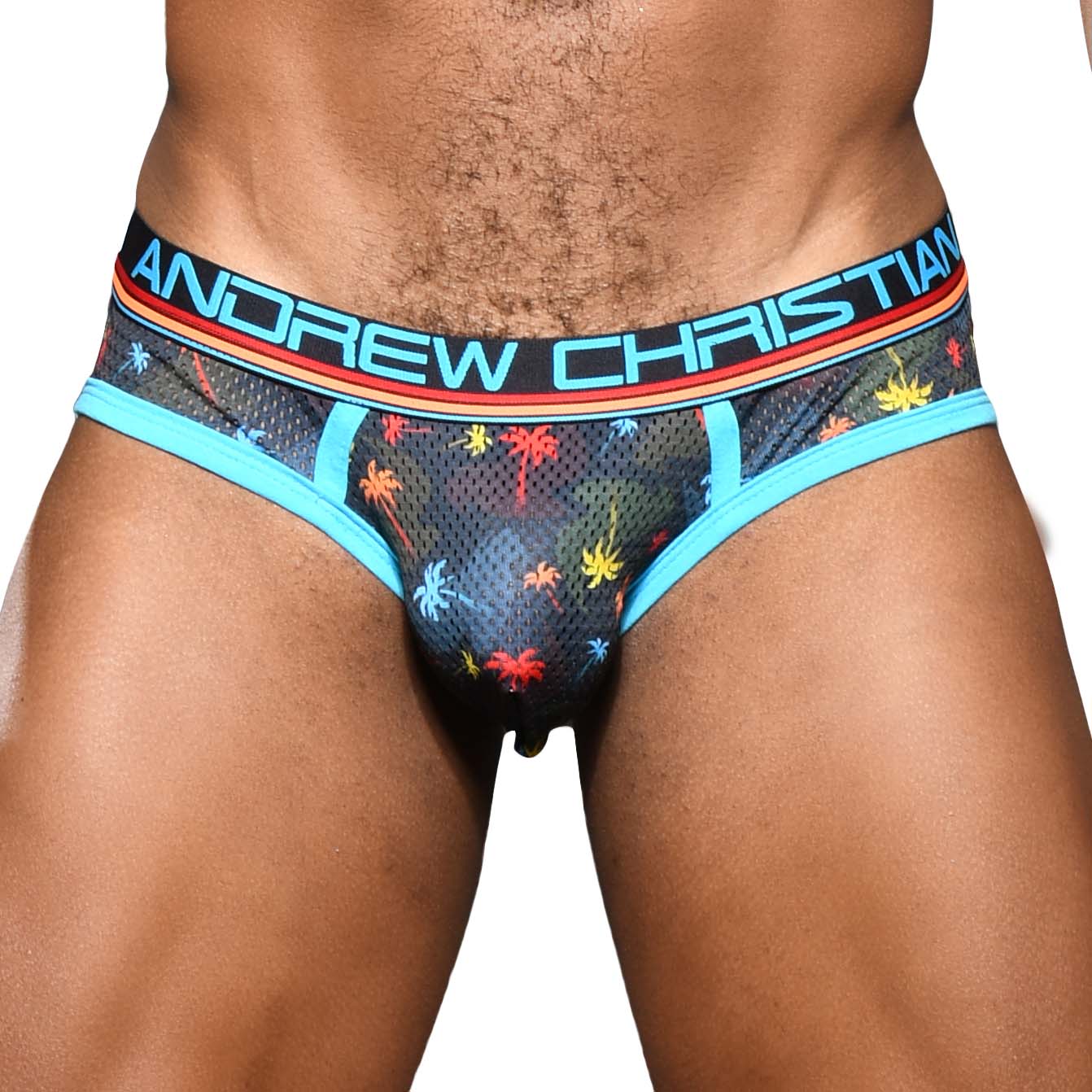 Brief Andrew Christian Palm Springs Mesh 92059