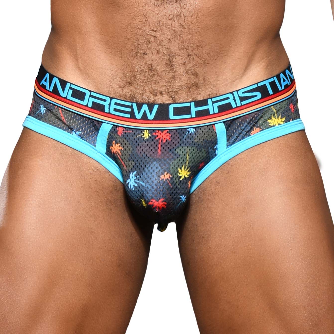 Slip Andrew Christian Palm Springs Mesh 92059