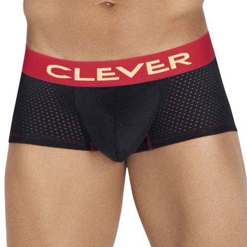 Boxer Clever Requirement 0420