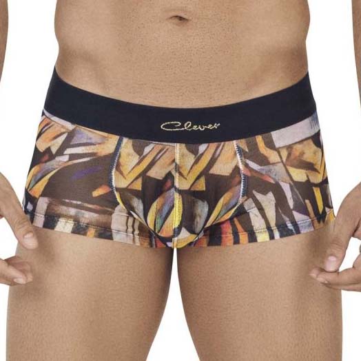 Boxer Clever Tonos 0668