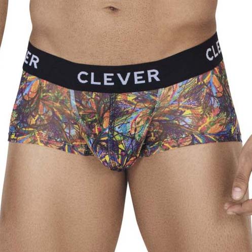 Boxer Clever Bonite 0670