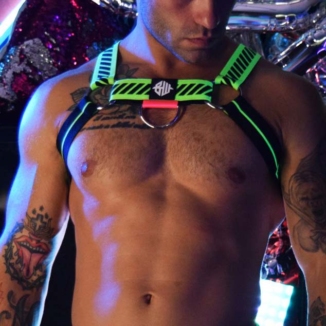 Harness Magnum BREEDWELL