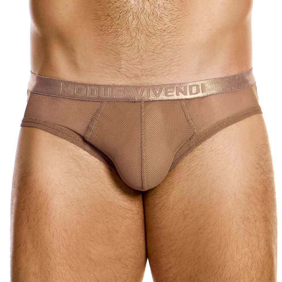 Brief Modus Vivendi Mesh Through 05416