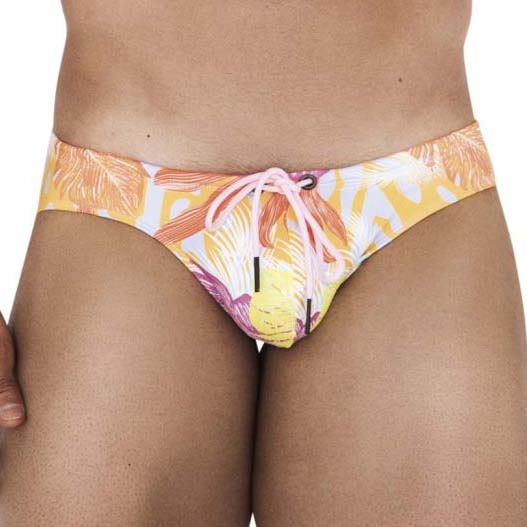Swimbrief Clever Persian 1519