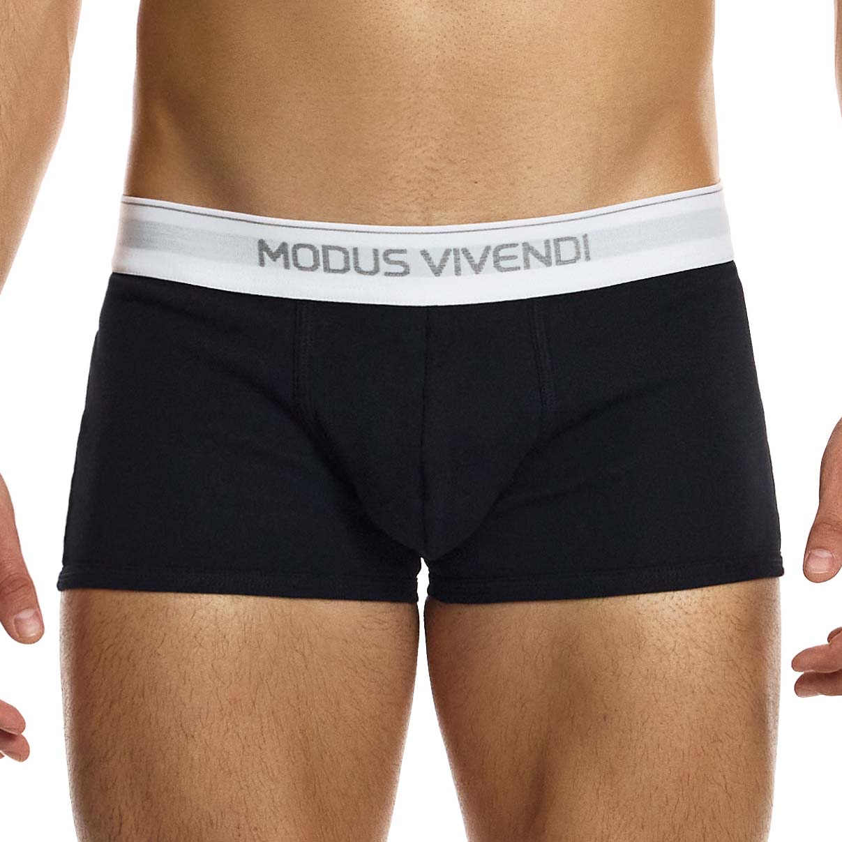 Trunk Modus Vivendi Staple 12421