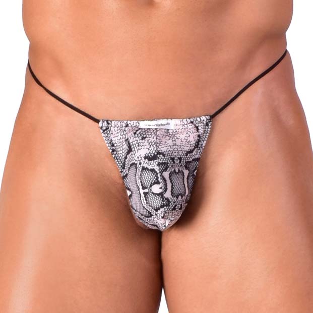 String Joe Snyder 02