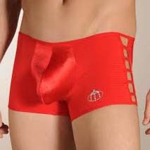 Boxer Brief Intymen 5694