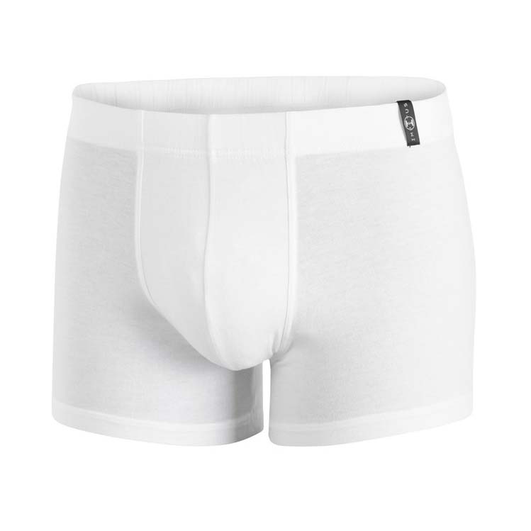 Boxer Brief Impetus 1241022