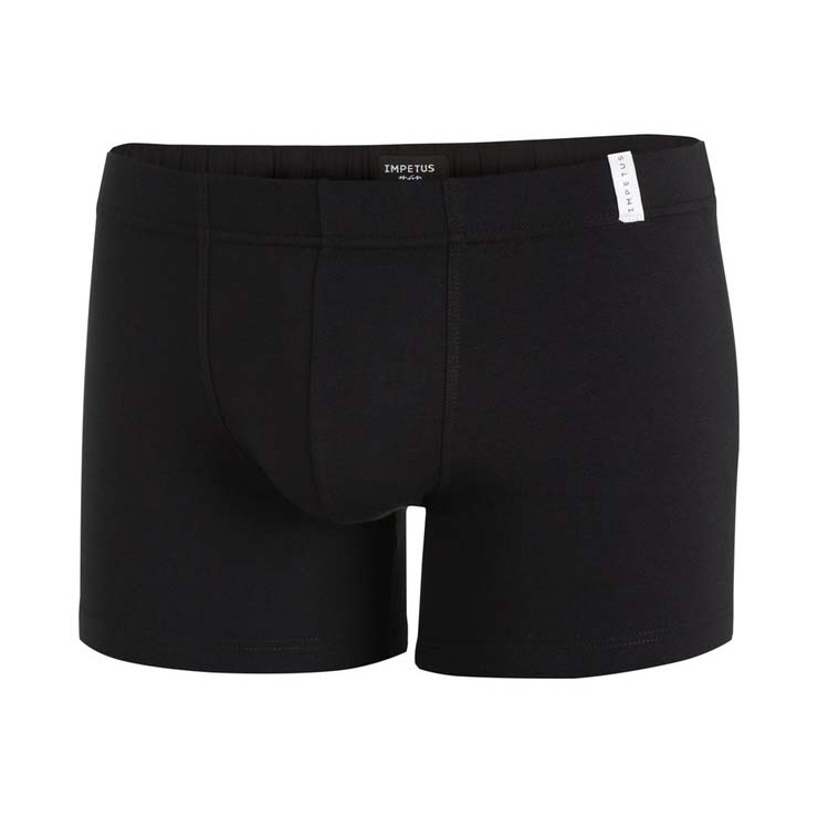 Boxer Brief Impetus 1241022